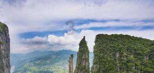 小猫钓鱼正版下载中文版