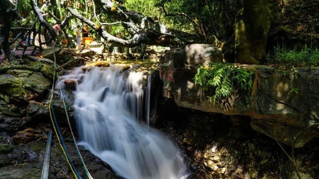 水浒传：鲁智深被迫离开寺庙，众兄弟发誓要报仇，就拿高衙内开刀游戏画面