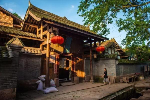 寻找丢失的婴儿