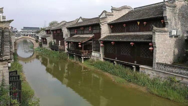 逗小猴开心系列211